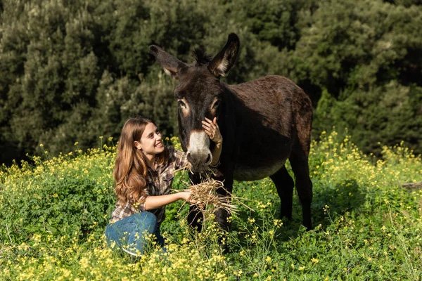 Queen Jenny's Farm Donkey Fram